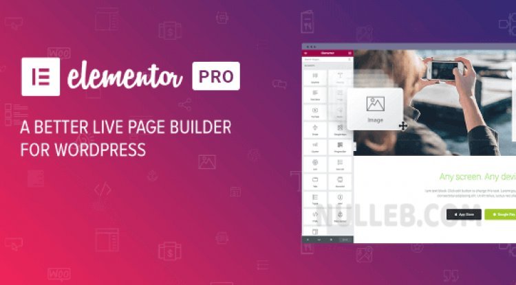 Plugin Elementor WordPress